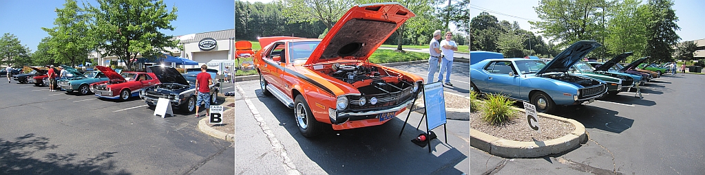 2011 CAMO
                  Show